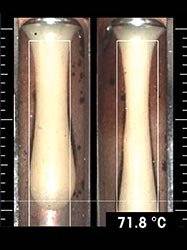 Figura 1. Vista di una misura tipica: campioni di mozzarella al punto di rammollimento. Le linee orizzontali indicano una distanza di 19 mm.