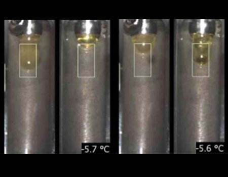 Campione di olio di canola: <br>Sinistra a -5,7 °C - il campione nella coppella di sinistra cade. <br>Destra a -5,6 °C - il campione nella coppella destra cade.