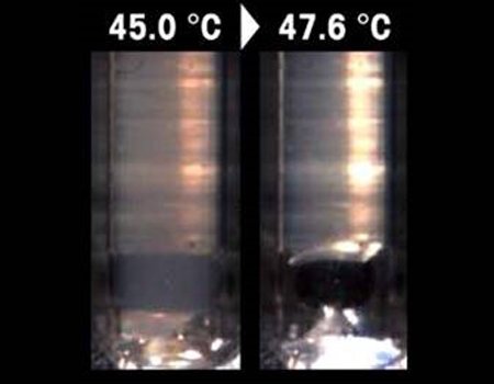 Při teplotě 45 °C není pozorována žádná změna.<br>Při teplotě 47,6 °C se látka v kapiláře pohybuje směrem nahoru.<br>Je zjištěno, že dosáhla svého SMP.