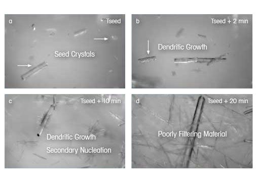 Croissance dendritique de la taille et de la forme des cristaux